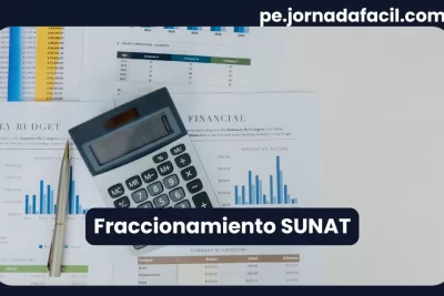 Fraccionamiento SUNAT – calculadora sobre reportes financieros con gráficos de deudas y pagos en cuotas.